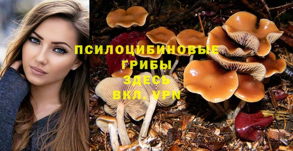 шишки Володарск